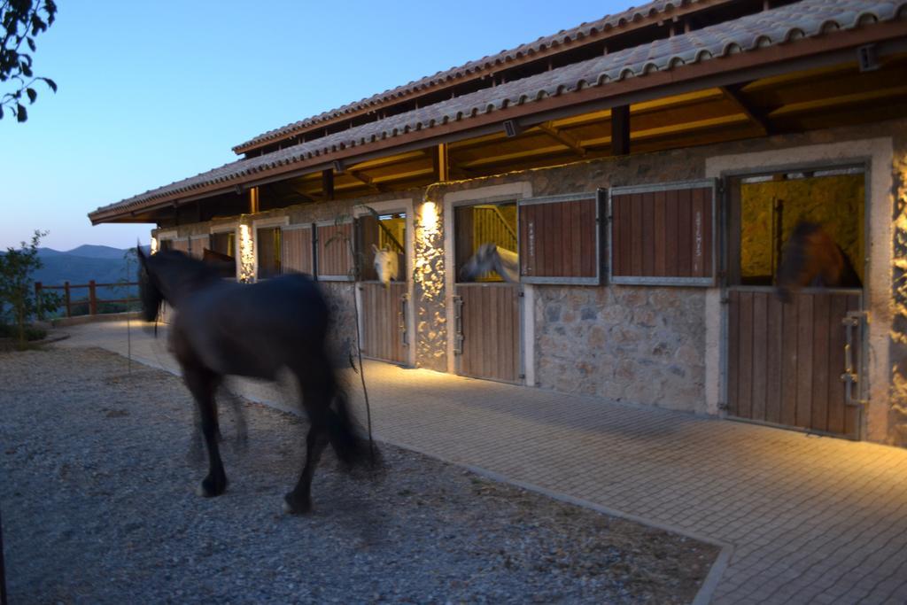 Country Hotel Velani Avdou エクステリア 写真